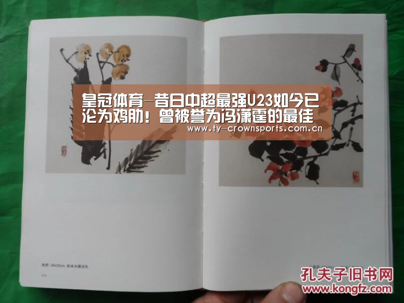 皇冠体育-昔日中超最强U23如今已沦为鸡肋!曾被誉为冯潇霆的最佳接班人(图1) 皇冠体育网址