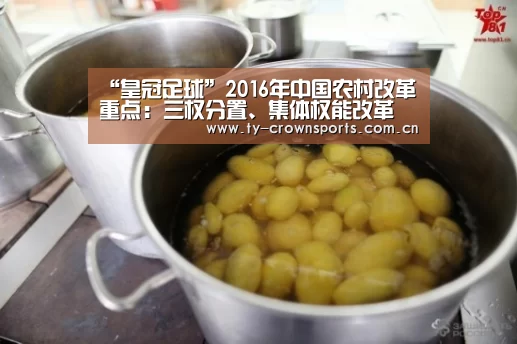 “皇冠足球”2016年中国农村改革重点:三权分置、集体权能改革(图2) 皇冠足球