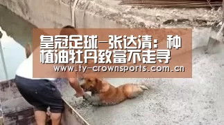 皇冠足球-张达清:种植油牡丹致富不走寻常路(图3) 皇冠体育网址