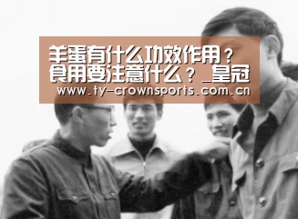 羊蛋有什么功效作用?食用要注意什么?_皇冠体育(图4) 皇冠足球