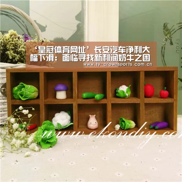 皇冠体育官网