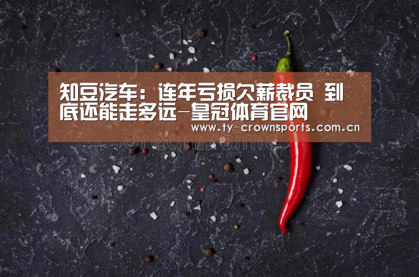 知豆汽车:连年亏损欠薪裁员 到底还能走多远-皇冠体育官网(图3) 皇冠体育官网