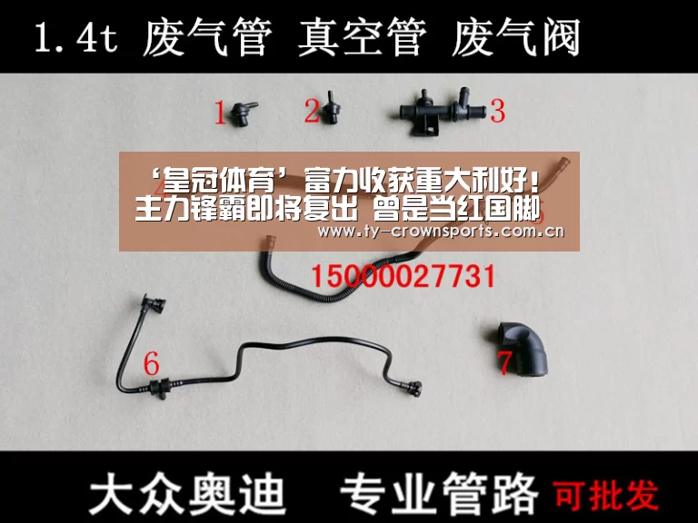 ‘皇冠体育’富力收获重大利好!主力锋霸即将复出 曾是当红国脚受里皮重用(图1) 皇冠体育官网