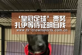 ‘皇冠足球’贾努扎伊等待证明自我(图1) 皇冠体育官网