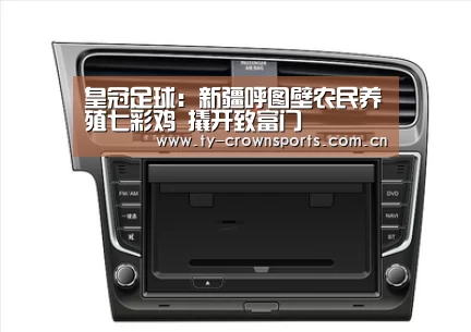 皇冠足球:新疆呼图壁农民养殖七彩鸡 撬开致富门(图1) 皇冠体育网址