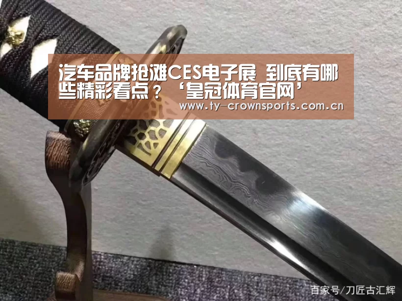 汽车品牌抢滩CES电子展 到底有哪些精彩看点?‘皇冠体育官网’(图2) 皇冠体育官网
