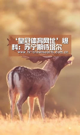 ‘皇冠体育网址’爆料:苏宁期待塔尔德利加入 打算送走拉米雷斯(图2) 皇冠体育官网